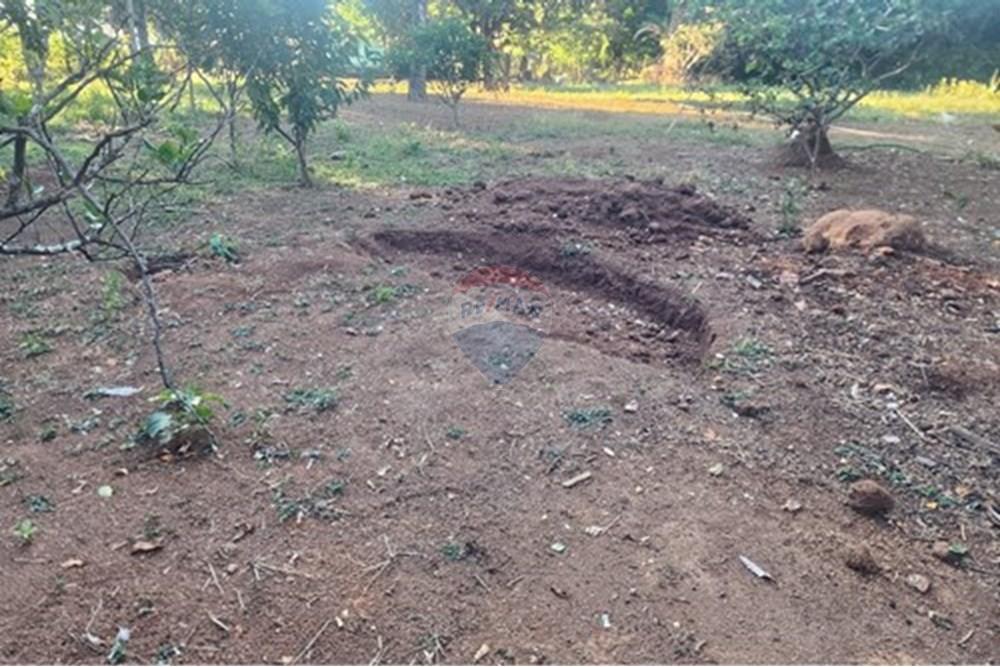 Chácara / Sítio / Fazenda - Venda - Ibirité , Minas Gerais - L_5b10449d-c959-417e-b15e-322ebf9f8497.jpg - 870241024-77