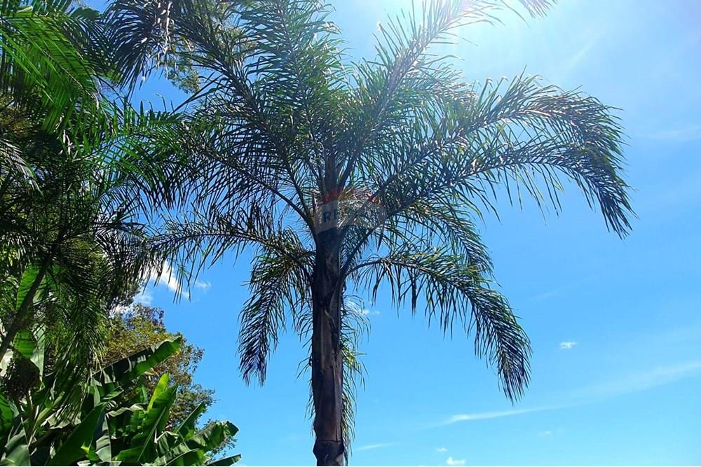 Terreno - Venda - Nova Lima , Minas Gerais - foto Lote coqueiro imperial.jpg - 870241097-28