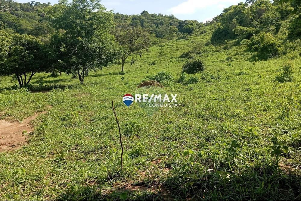 Chácara / Sítio / Fazenda - Venda - Pocrane , Minas Gerais - 4_IMG_20241203_084359_watermark_sex._13122024_135654.jpg - 870451001-114