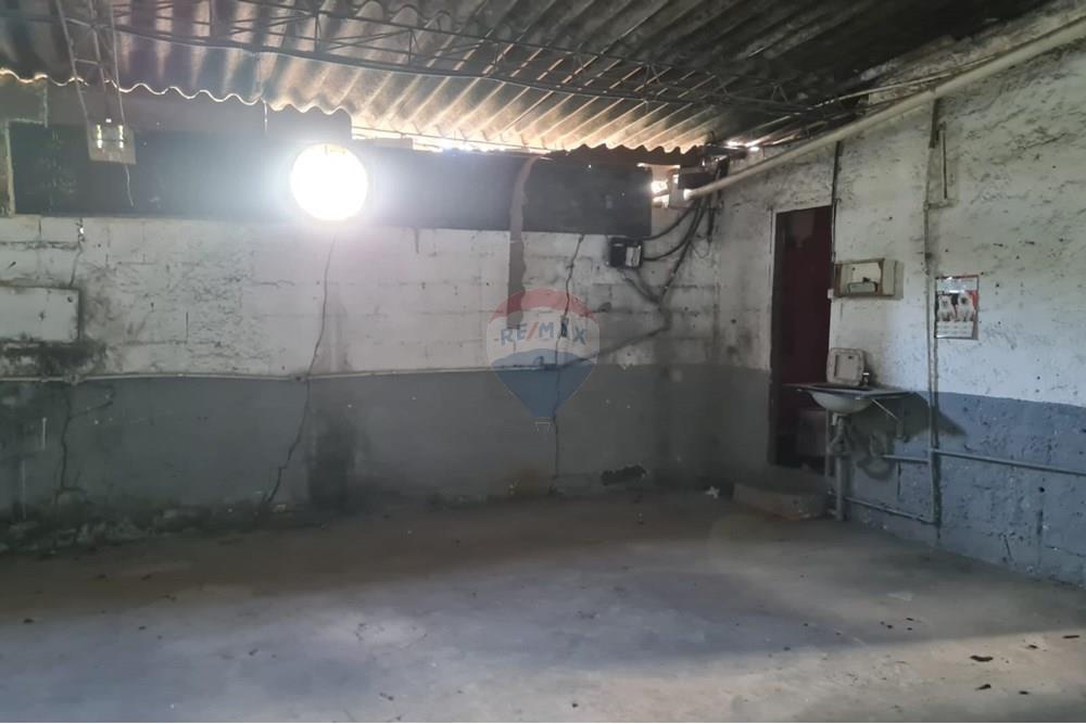 Galpão - Alugar - Belo Horizonte , Minas Gerais - 33e3a940-8ce7-4edf-9594-0475c7c6a145.jpg - 870701002-41