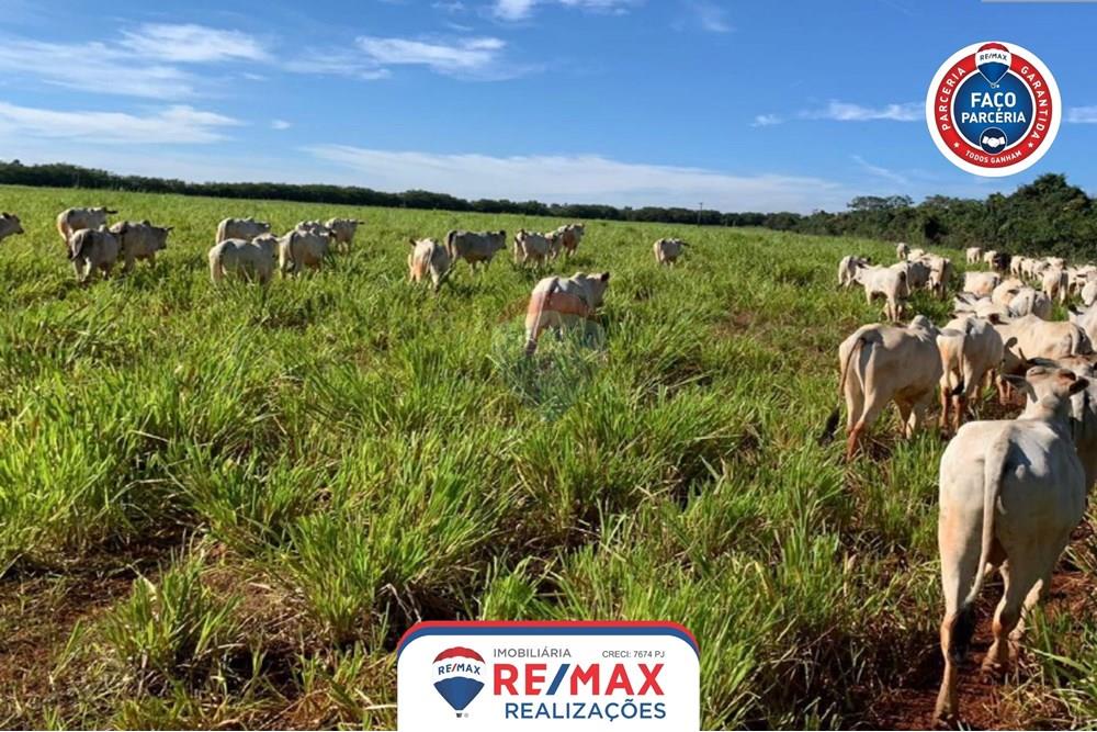 Chácara / Sítio / Fazenda - Venda - Patos de Minas , Minas Gerais - 14.jpg - 870631011-31