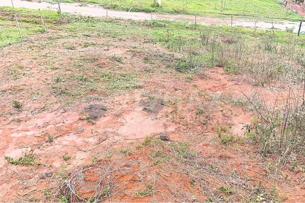 Terreno - Venda - Ipanema , Minas Gerais - 7_image_7_watermark_seg._03112025_103330.jpg - 870451013-77