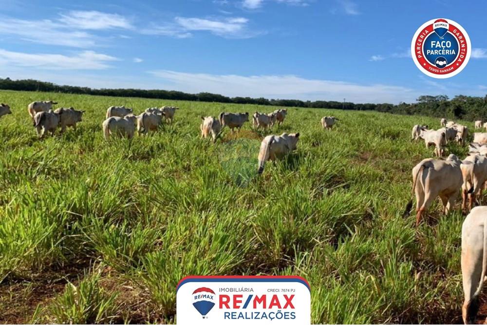 Chácara / Sítio / Fazenda - Venda - Patos de Minas , Minas Gerais - 13.jpg - 870631011-31