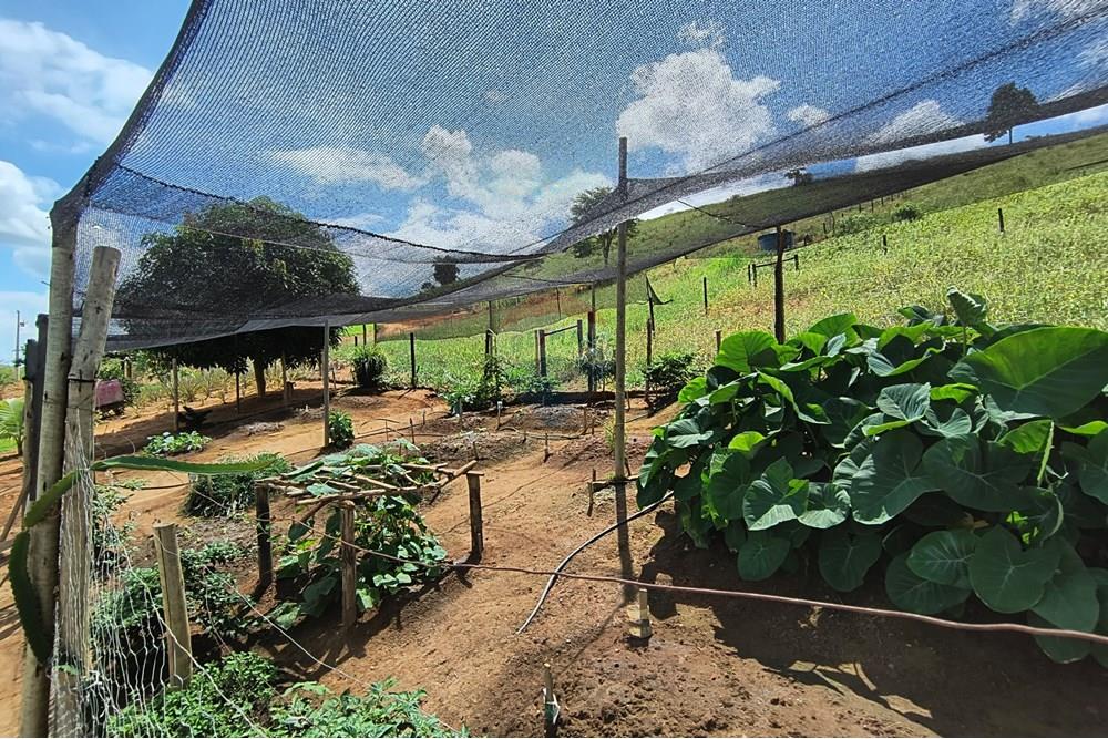 Chácara / Sítio / Fazenda - Venda - Governador Valadares , Minas Gerais - IMG_20250329_110220406_HDR.jpg - 870671027-7