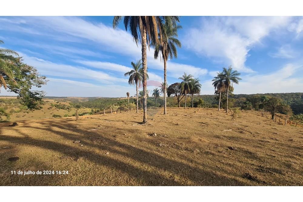 Chácara / Sítio / Fazenda - Venda - Uberaba , Minas Gerais -  (34).jpeg - 870291025-115