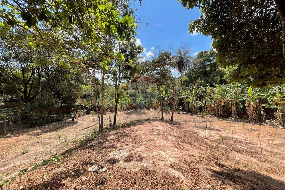 Casa - Venda - Belo Horizonte , Minas Gerais - IMG_1500.jpg - 870411117-17