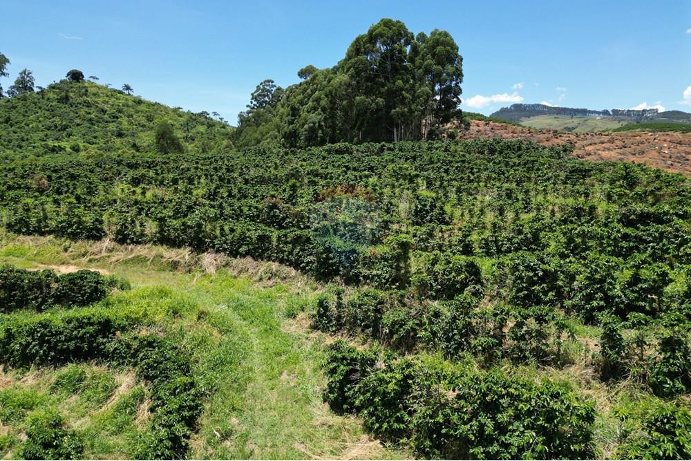 Chácara / Sítio / Fazenda - Venda - São Sebastião da Grama , São Paulo - DJI_0742.JPG - 870361041-98