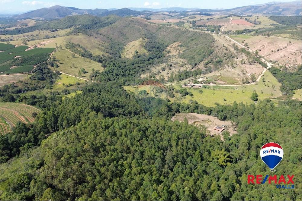 Chácara / Sítio / Fazenda - Venda - São Roque de Minas , Minas Gerais - b29147de-ebc9-4c18-94f7-aa5f18c4c166 (1).jpg - 870731003-7
