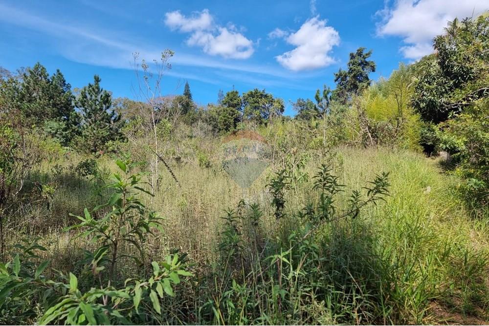 Terreno - Venda - Nova Lima , Minas Gerais - 28.jpeg - 870421084-16