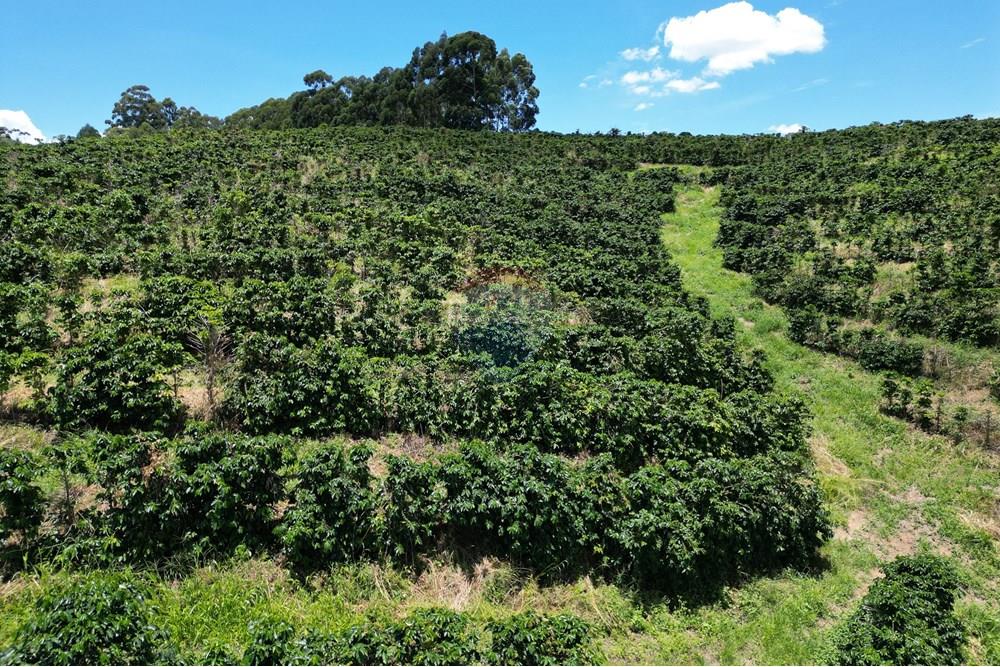 Chácara / Sítio / Fazenda - Venda - São Sebastião da Grama , São Paulo - DJI_0735.JPG - 870361041-98