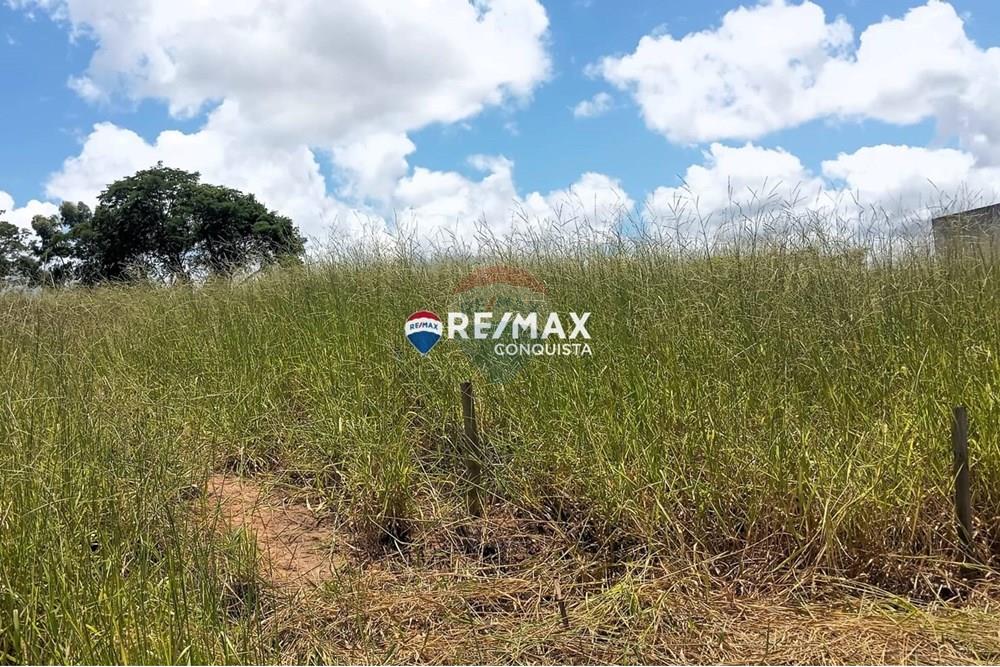 Chácara / Sítio / Fazenda - Venda - Ipanema , Minas Gerais - WhatsApp Image 2025-02-19 at 16.28.36(2).jpeg - 870451013-54