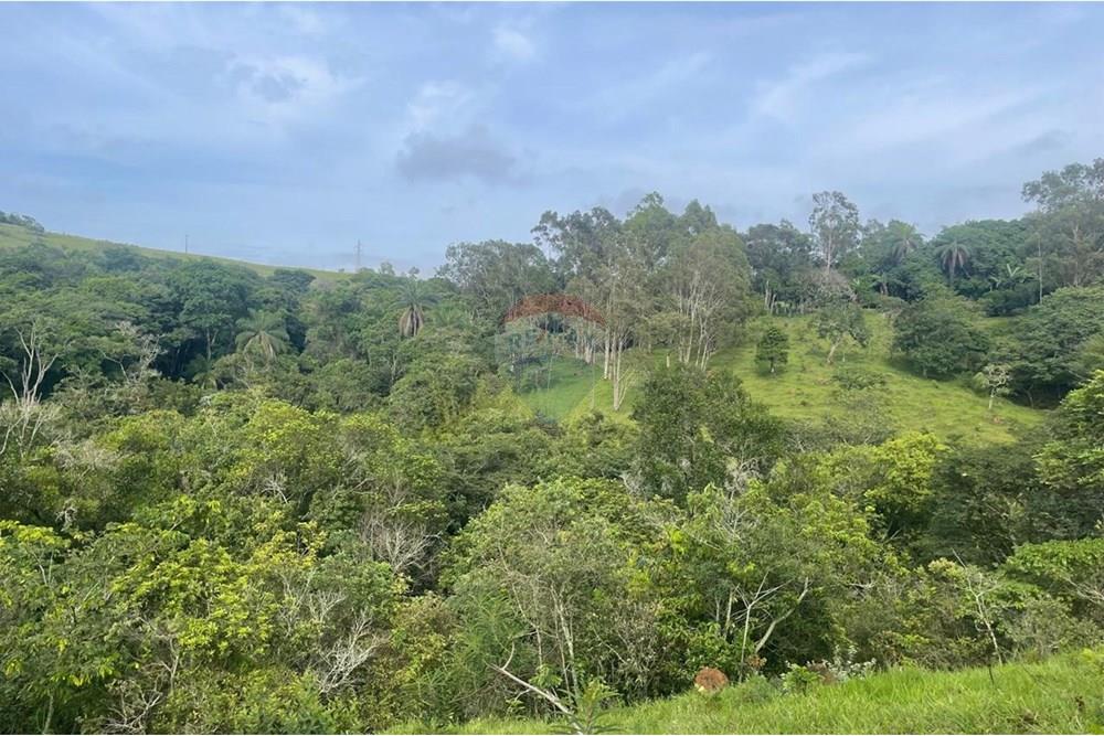 Chácara / Sítio / Fazenda - Venda - Araxá , Minas Gerais - 18.jpg - 870431045-24