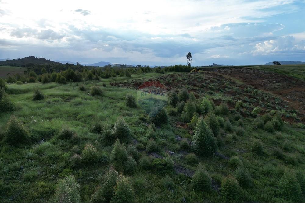 Fazenda - Venda - Bandeira do Sul , Minas Gerais - DJI_0881.JPG - 870361041-103