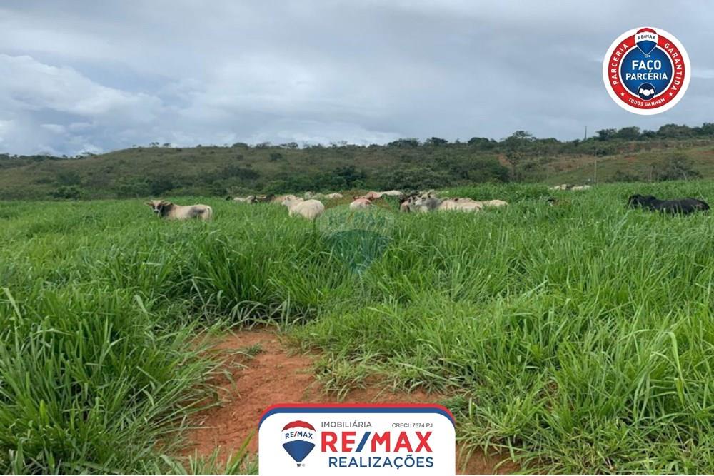 Chácara / Sítio / Fazenda - Venda - Patos de Minas , Minas Gerais - 20.jpg - 870631011-31