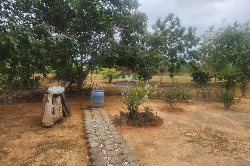 Chácara / Sítio / Fazenda - Venda - Curvelo , Minas Gerais - d8580014-6bf9-4f8e-aa9a-97d67134536c.jpeg - 870241024-65