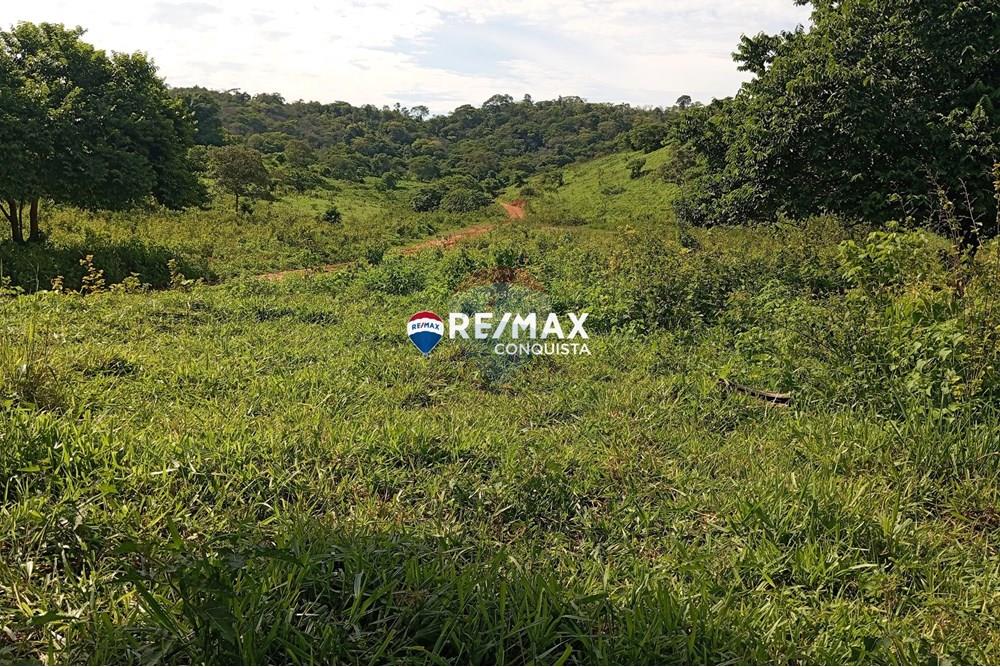 Chácara / Sítio / Fazenda - Venda - Pocrane , Minas Gerais - 8_IMG_20241203_081951_watermark_sex._13122024_134944.jpg - 870451001-114