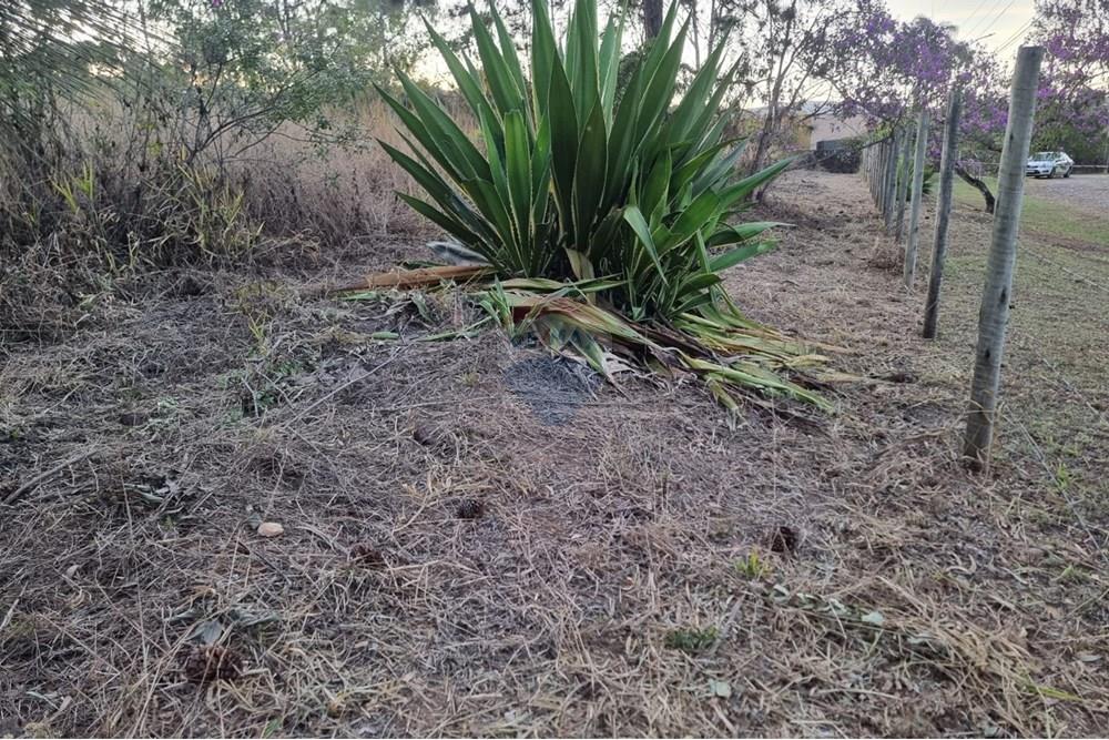 Terreno - Venda - Nova Lima , Minas Gerais - Foto 4.jpg - 870421084-16