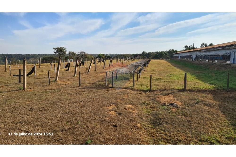 Fazenda - Venda - Uberaba , Minas Gerais - (22).jpeg - 870291025-116