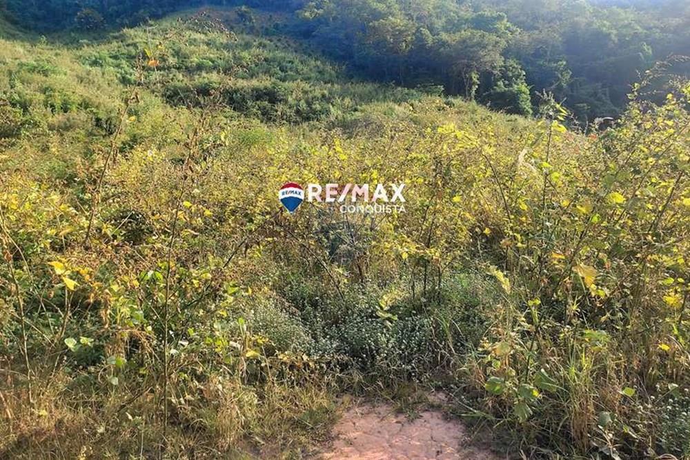 Chácara / Sítio / Fazenda - Venda - Ipanema , Minas Gerais - 5_IMG_20240515_075226_watermark_dom._23062024_100145.jpg - 870451001-121