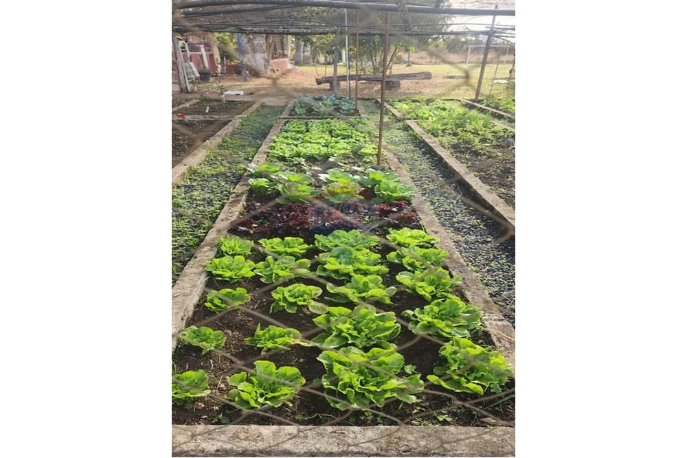 Chácara / Sítio / Fazenda - Venda - Uberaba , Minas Gerais - 10 Sítio Venda 690 mil com 20.300m² em Rio Claro, próximo a Uberaba na Remax 870291025-102.jpg - 870291025-102