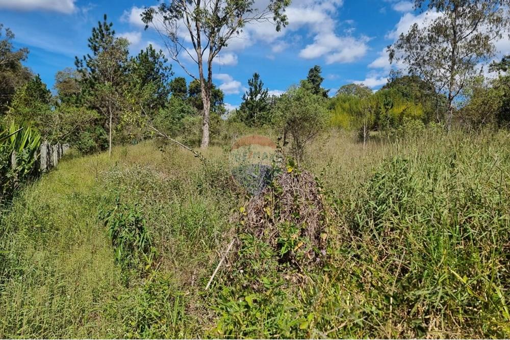 Terreno - Venda - Nova Lima , Minas Gerais - 7.jpeg - 870421084-16