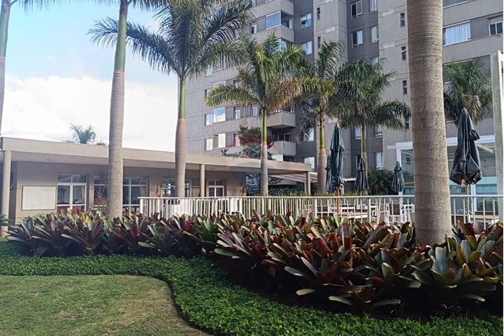 Apartamento - Alugar - Nova Lima , Minas Gerais - WhatsApp Image 2025-04-05 at 11.01.56 (1).jpeg - 870421014-340