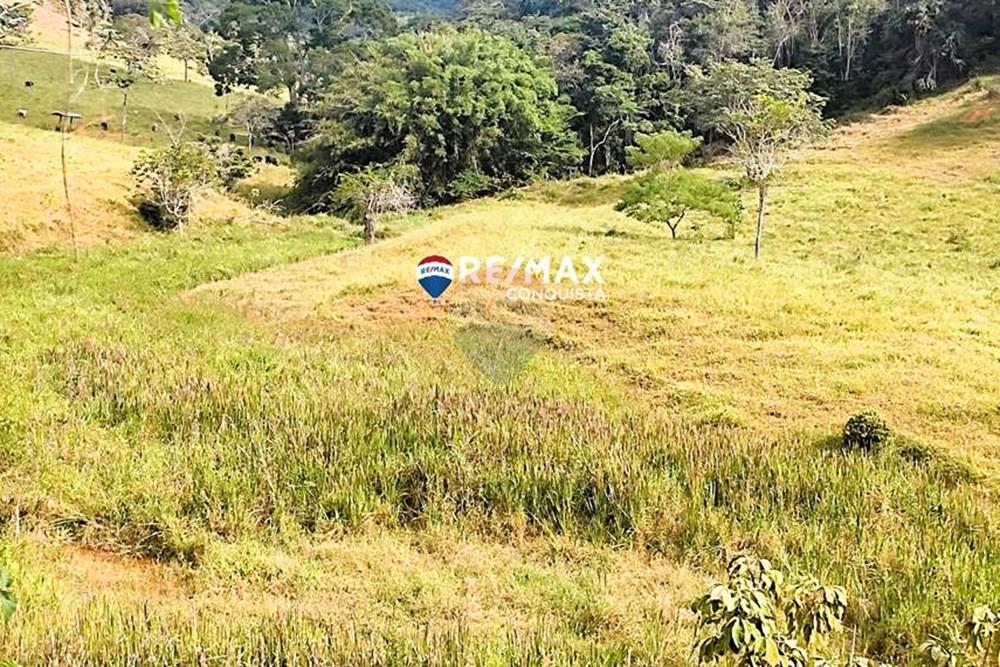 Chácara / Sítio / Fazenda - Venda - Ipanema , Minas Gerais - 6_IMG_20240515_093340_watermark_dom._23062024_100623.jpg - 870451001-122