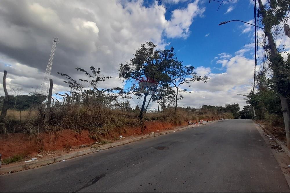 Terreno - Venda - Belo Horizonte , Minas Gerais - 20250620_154746.jpg - 870411011-95