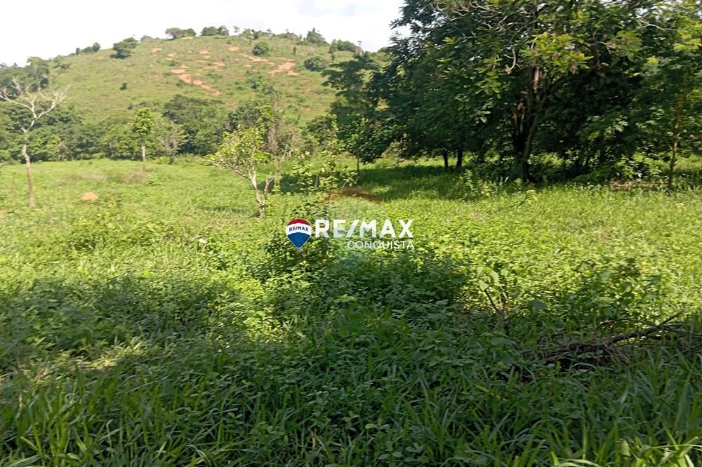 Chácara / Sítio / Fazenda - Venda - Pocrane , Minas Gerais - 8_IMG_20241203_090037_watermark_sex._13122024_135421.jpg - 870451001-114