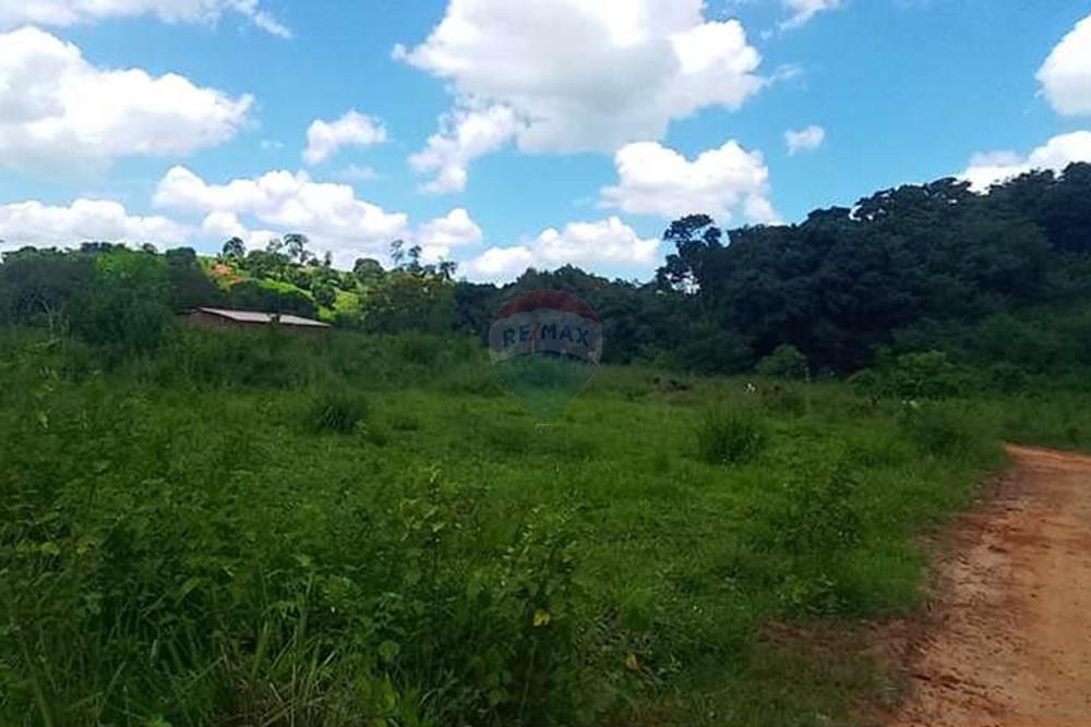 Chácara / Sítio / Fazenda - Venda - Alpercata , Minas Gerais - WhatsApp Image 2024-02-27 at 11.49.08 (1).jpeg - 870671001-154