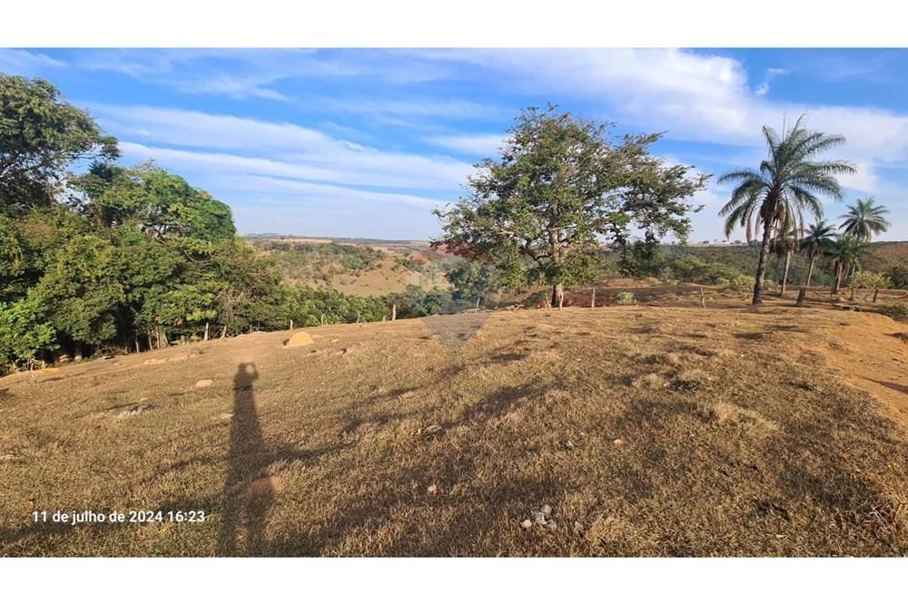 Fazenda - Venda - Uberaba , Minas Gerais - (33).jpeg - 870291025-116