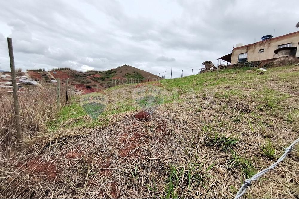 Terreno - Venda - Ipanema , Minas Gerais - 8_image_8_watermark_seg._03112025_103618.jpg - 870451004-108