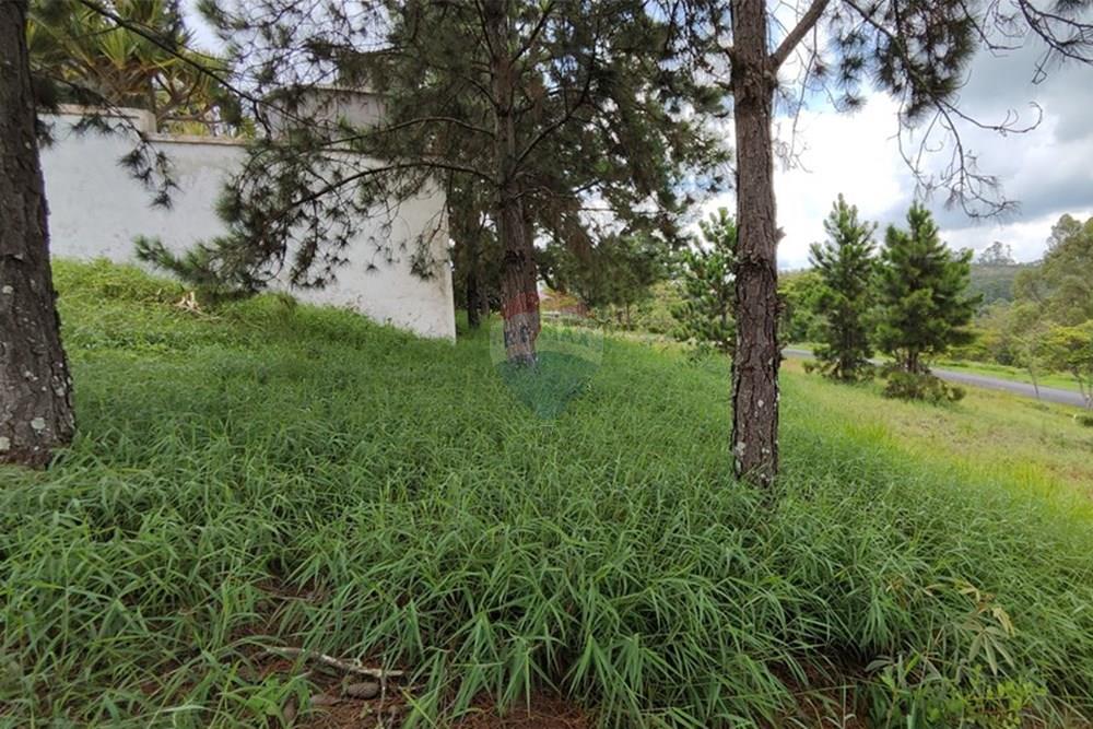 Terreno - Venda - Nova Lima , Minas Gerais - IMG_20250128_114756.jpg - 870421014-287