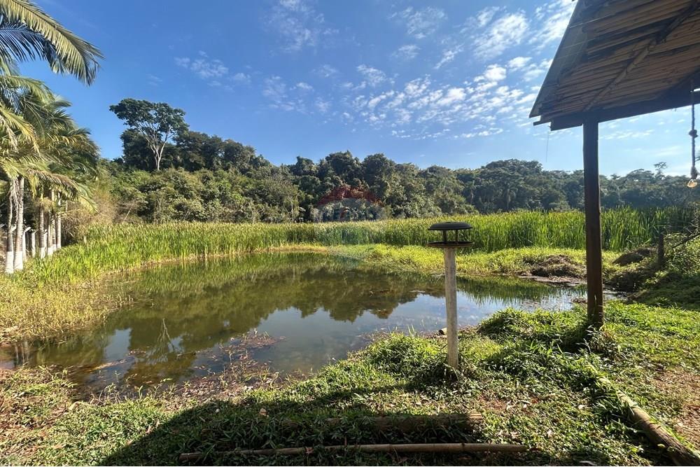 Chácara / Sítio / Fazenda - Venda - Varginha , Minas Gerais - image00015.jpeg - 870641024-16
