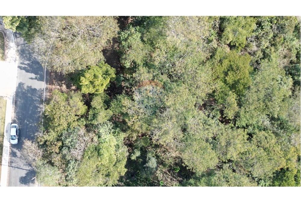 Terreno - Venda - Nova Lima , Minas Gerais - dji_fly_20250819_143216_675_1755688857690_photo.JPG - 870351059-18