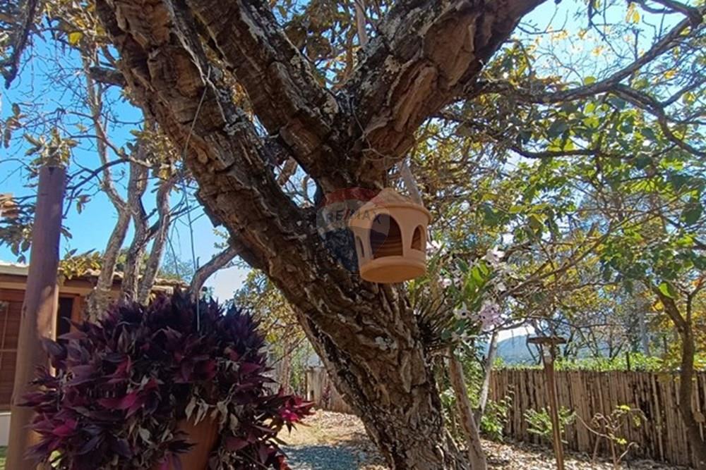 Casa - Venda - Brumadinho , Minas Gerais - WhatsApp Image 2025-09-04 at 15.13.39 (1).jpeg - Quintal - 870421014-337