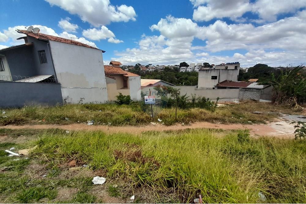 Terreno - Venda - Contagem , Minas Gerais - 12.jpg - 870751004-5