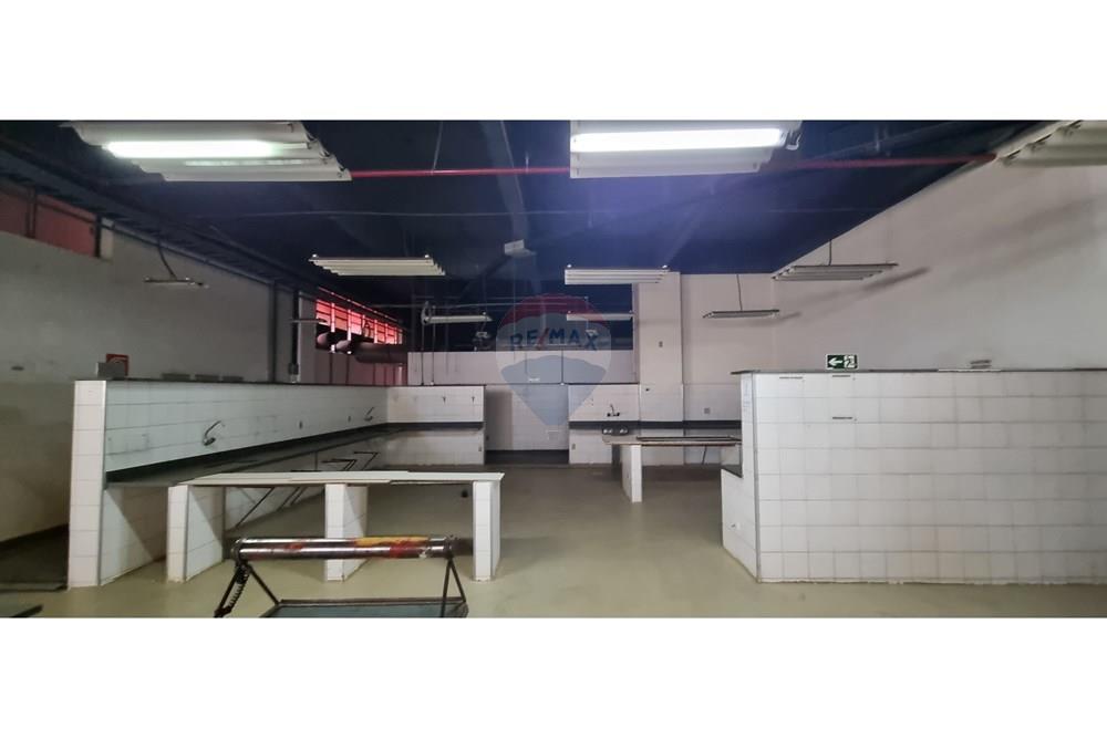 Ponto Comercial/ Loja - Alugar - Belo Horizonte , Minas Gerais - 20240911_101419.jpg - 870251062-79