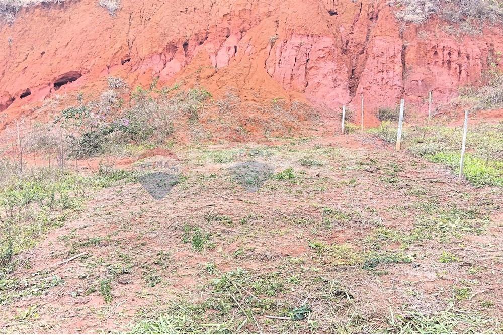 Terreno - Venda - Ipanema , Minas Gerais - 3_image_3_watermark_seg._03112025_103328.jpg - 870451013-77