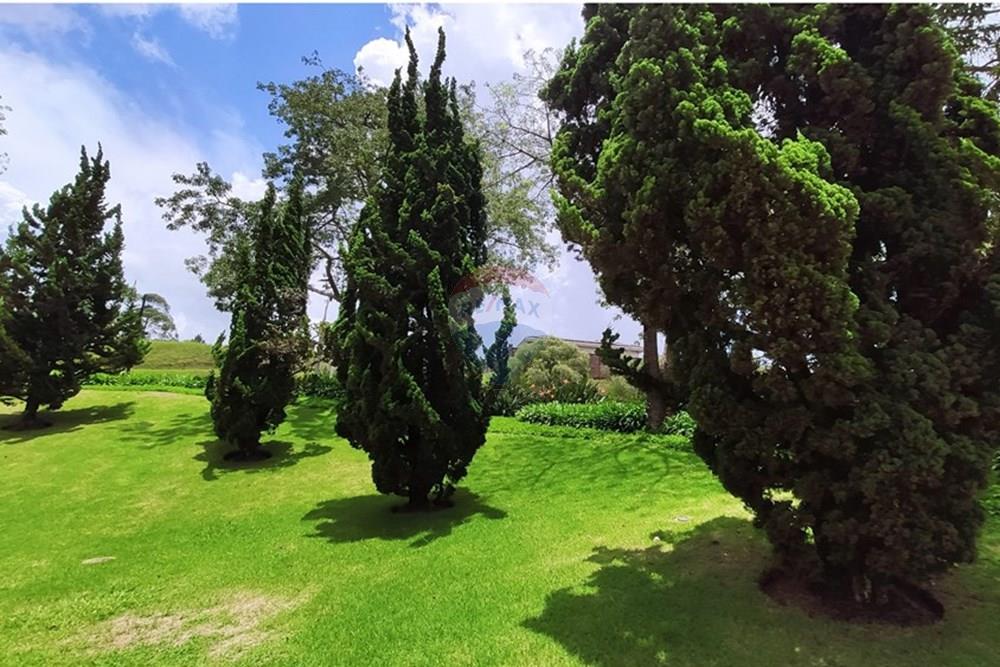 Terreno - Venda - Nova Lima , Minas Gerais - IMG_20250128_121011.jpg - 870421014-287