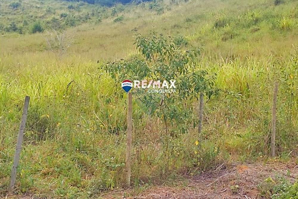 Chácara / Sítio / Fazenda - Venda - Ipanema , Minas Gerais - 0_IMG_20240515_083103_watermark_dom._23062024_100914.jpg - 870451001-122