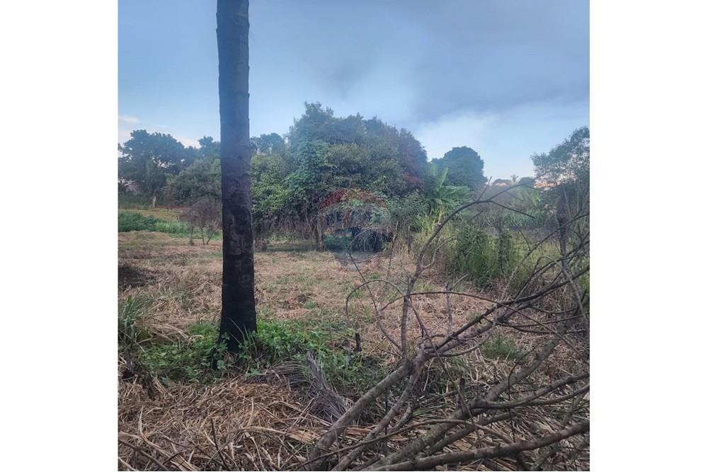 Terreno - Venda - Matozinhos , Minas Gerais - d64cda9a-605f-40a1-8e1a-71395f52c65d.jpeg - 870241024-58