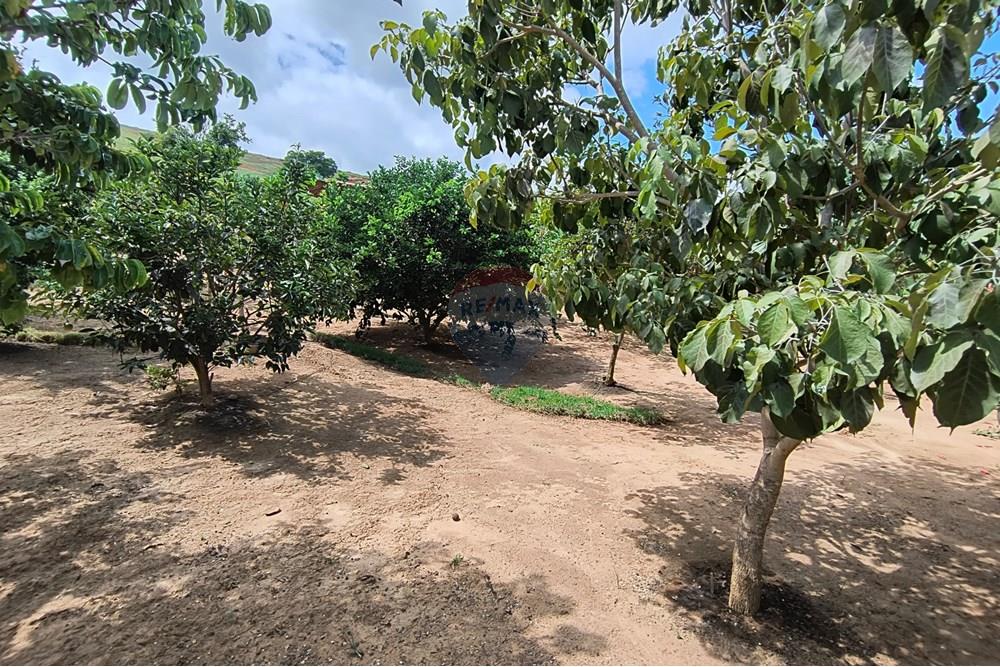 Chácara / Sítio / Fazenda - Venda - Governador Valadares , Minas Gerais - IMG_20250329_110821455_HDR.jpg - 870671027-7