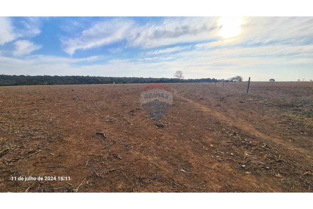 Chácara / Sítio / Fazenda - Venda - Uberaba , Minas Gerais -  (37).jpeg - 870291025-115