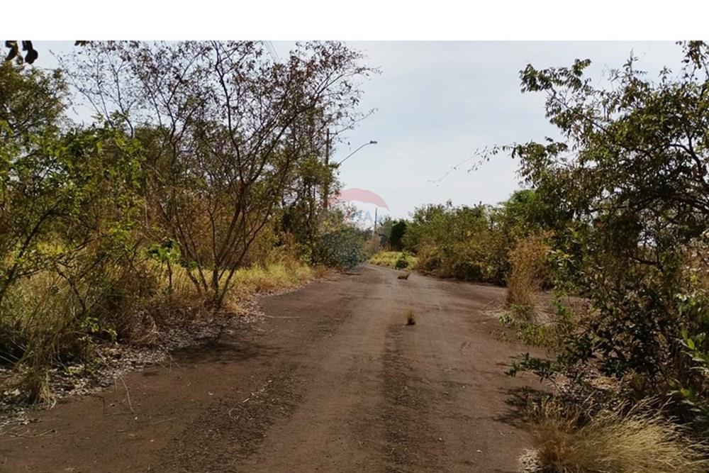 Chácara / Sítio / Fazenda - Venda - Uberaba , Minas Gerais - W1.jpeg - 870291037-16