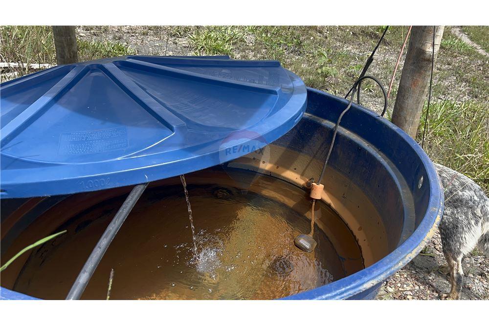 Fazenda - Venda - São Roque de Minas , Minas Gerais - 11 - 870431039-46