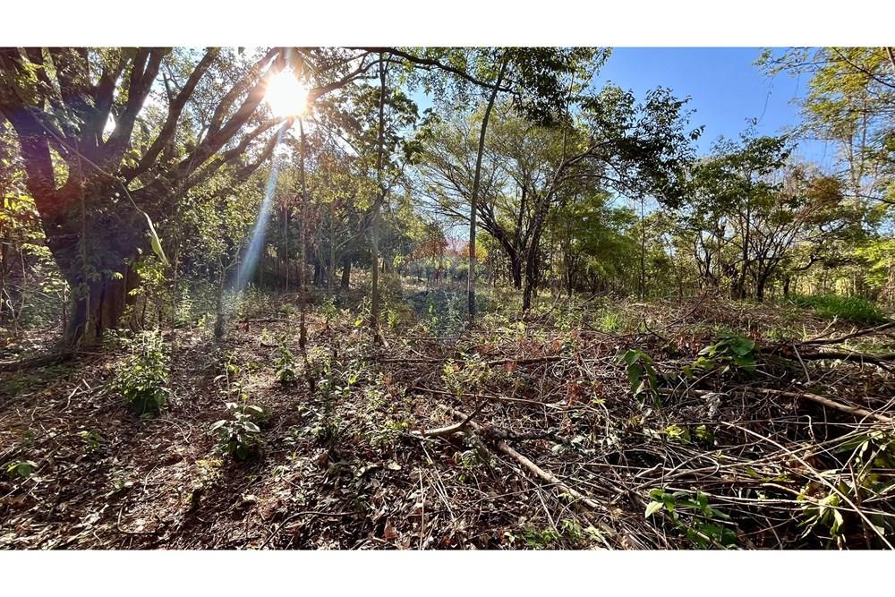 Terreno - Venda - Nova Lima , Minas Gerais - WhatsApp Image 2025-10-23 at 11.25.18.jpeg - 870351032-22