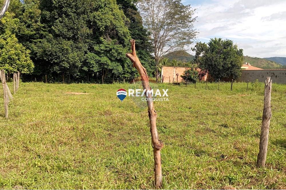 Chácara / Sítio / Fazenda - Venda - Ipanema , Minas Gerais - 3_image_3_watermark_ter._25032025_161751.jpg - 870451001-120