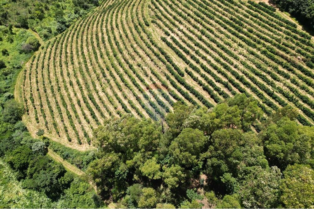 Chácara / Sítio / Fazenda - Venda - São Sebastião da Grama , São Paulo - DJI_0693.JPG - 870361041-98
