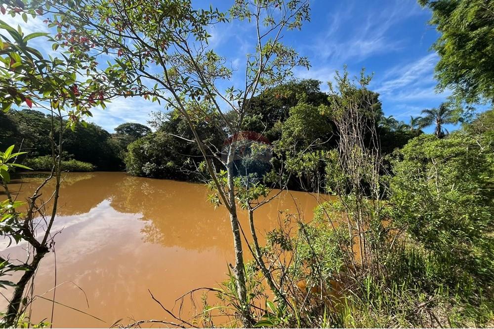 Chácara / Sítio / Fazenda - Venda - Araxá , Minas Gerais - MONICA 10.jpeg - 870431058-3